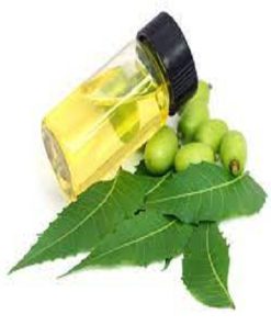 ACEITE DE NEEM PURO VIRGEN Y ORGANICO X KG ( VEGETAL)