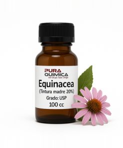 TINTURA EQUINACEA PA 20 %  X LT