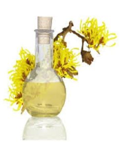 AGUA DE HAMAMELIS X LT