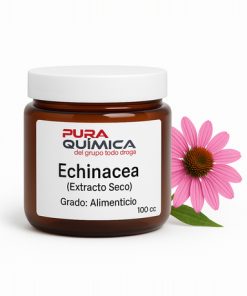 EXTRACTO SECO ECHINACEA 1/1 X  KG