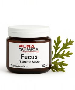EXTRACTO SECO FUCUS 3/1X KG